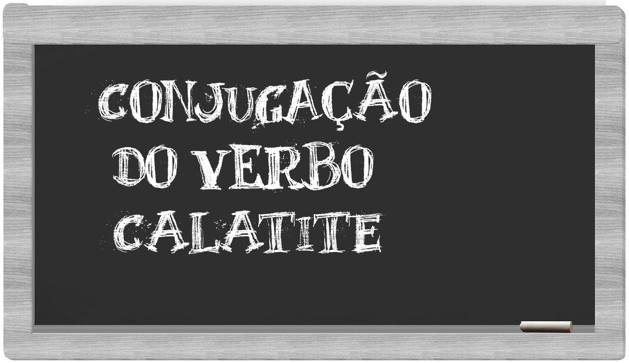 ¿calatite en sílabas?